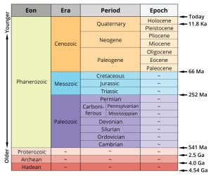 geological chart showing the eras and periods of earth's history